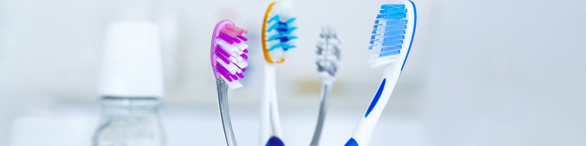 Oral Hygiene in NW Calgary